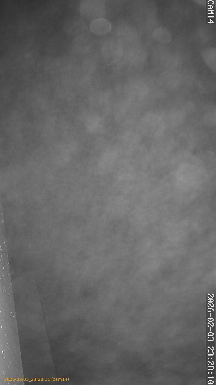 thumbnail_20260203232811