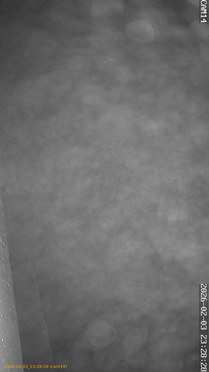 thumbnail_20260203232829