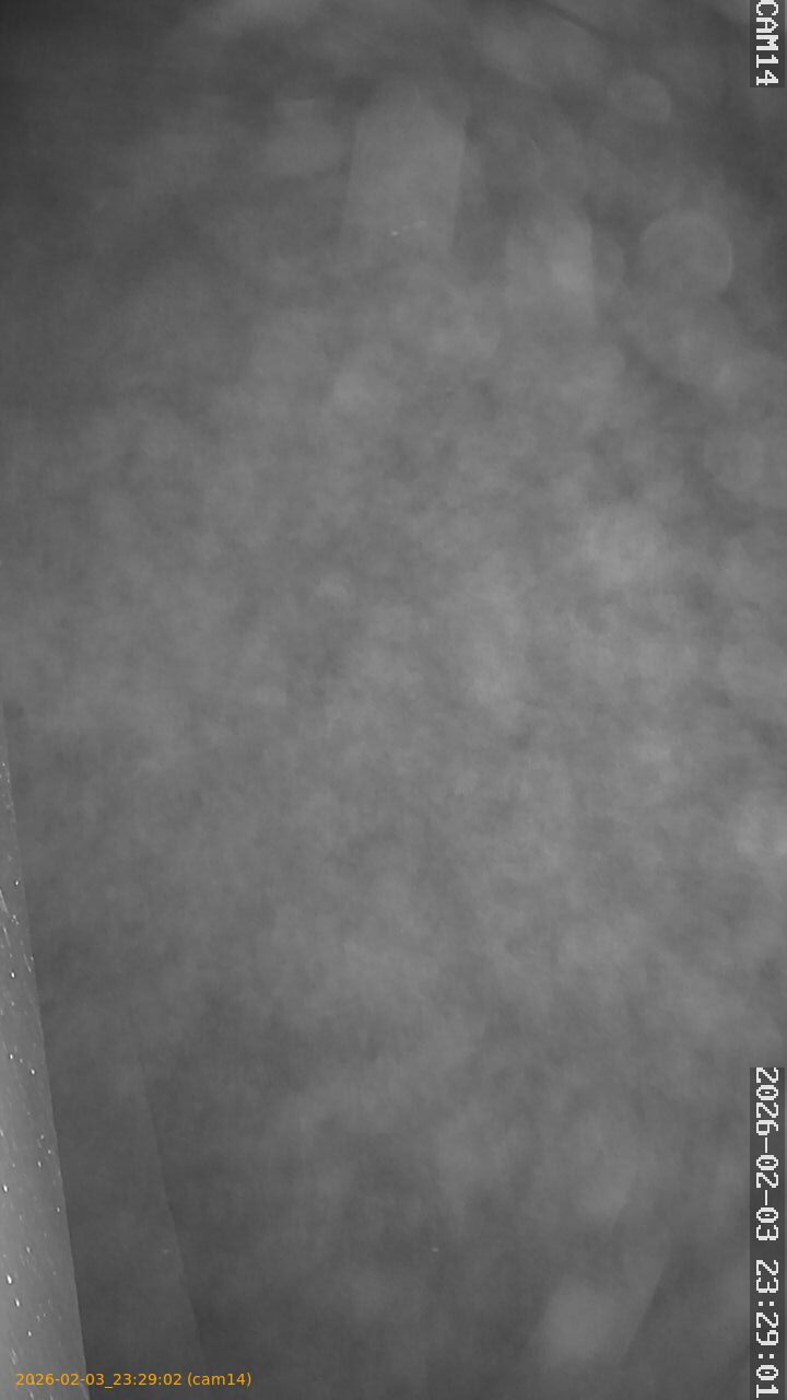 thumbnail_20260203232902