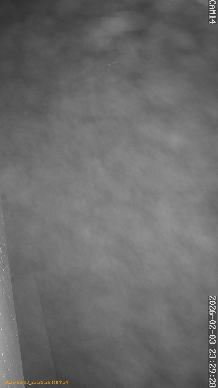 thumbnail_20260203232929