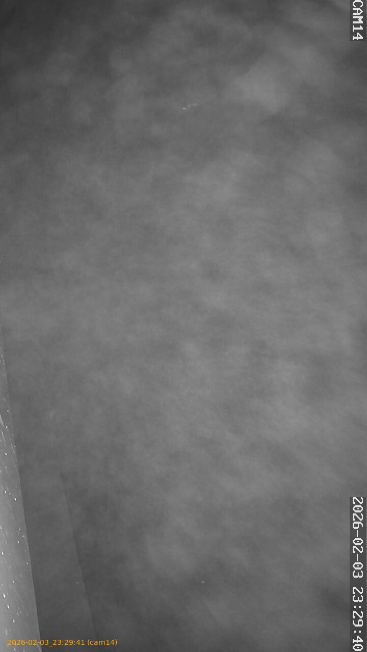 thumbnail_20260203232941