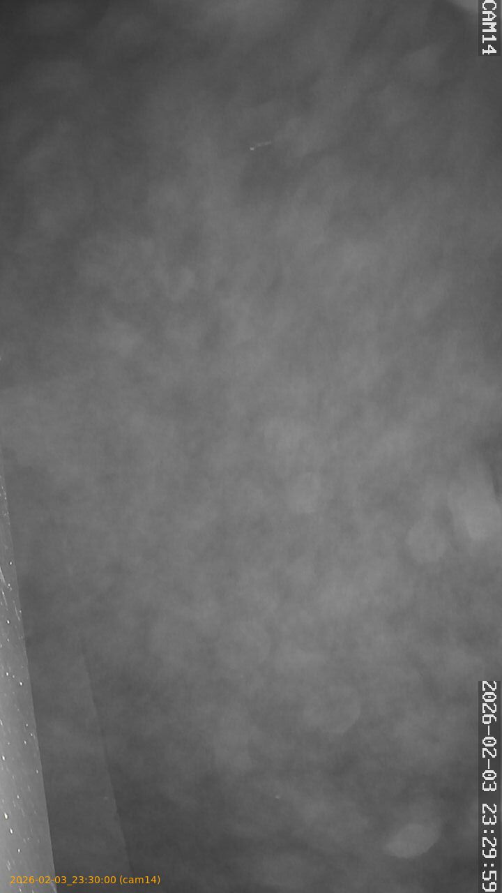 thumbnail_20260203233000