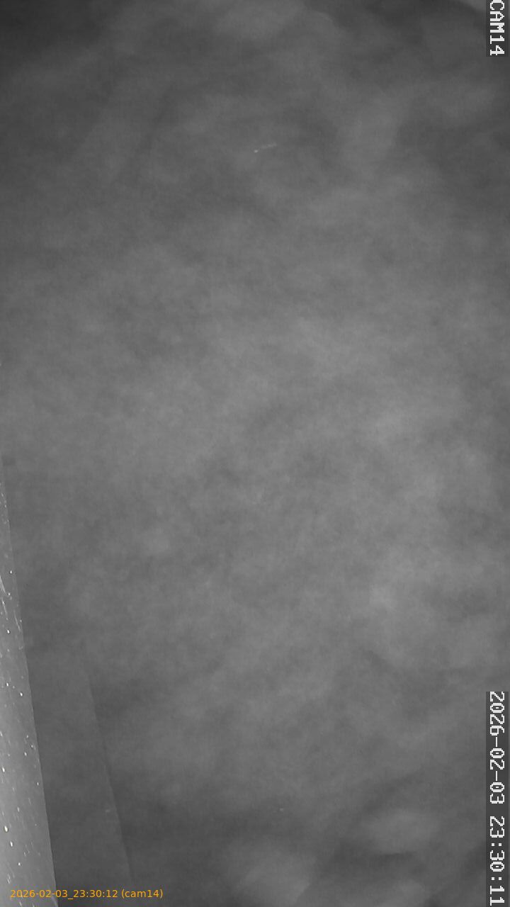 thumbnail_20260203233012