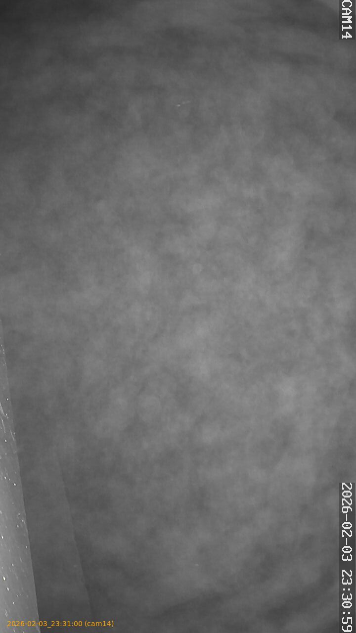 thumbnail_20260203233100