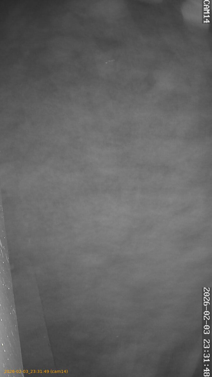 thumbnail_20260203233149