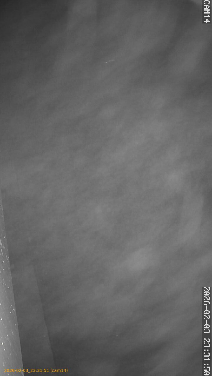 thumbnail_20260203233151