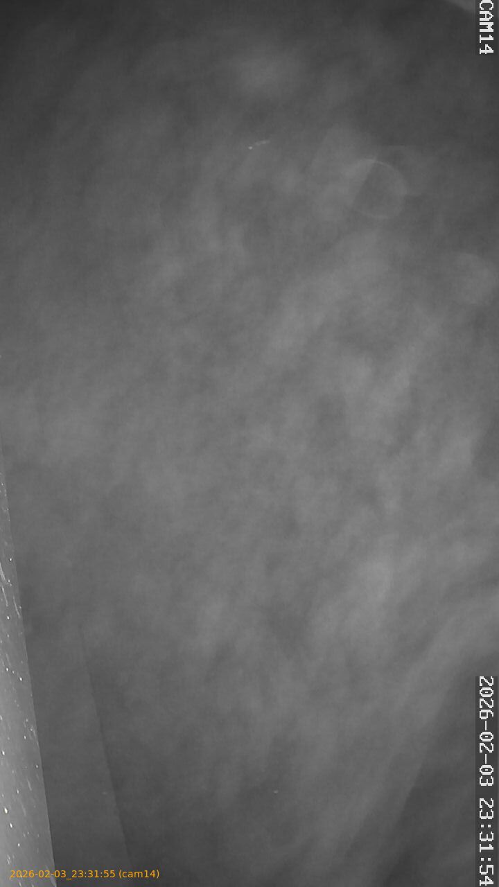 thumbnail_20260203233155