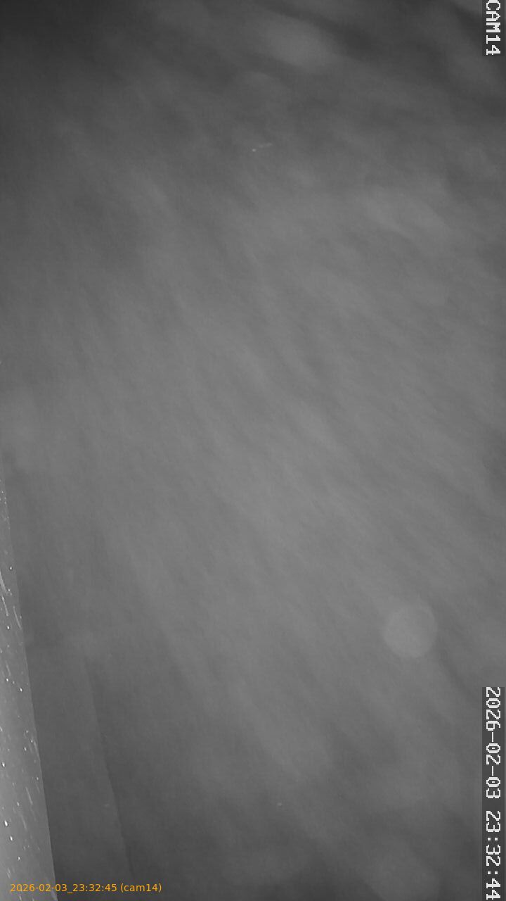 thumbnail_20260203233245