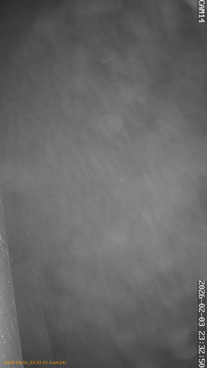 thumbnail_20260203233251