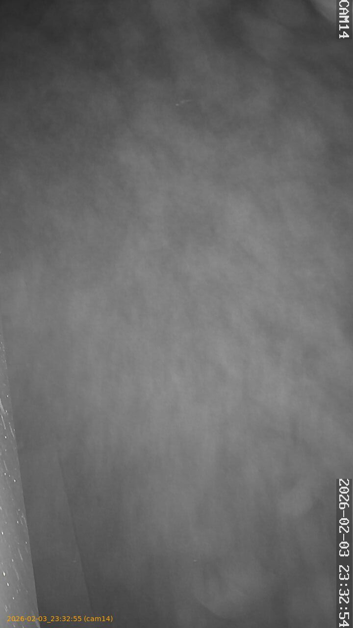 thumbnail_20260203233255