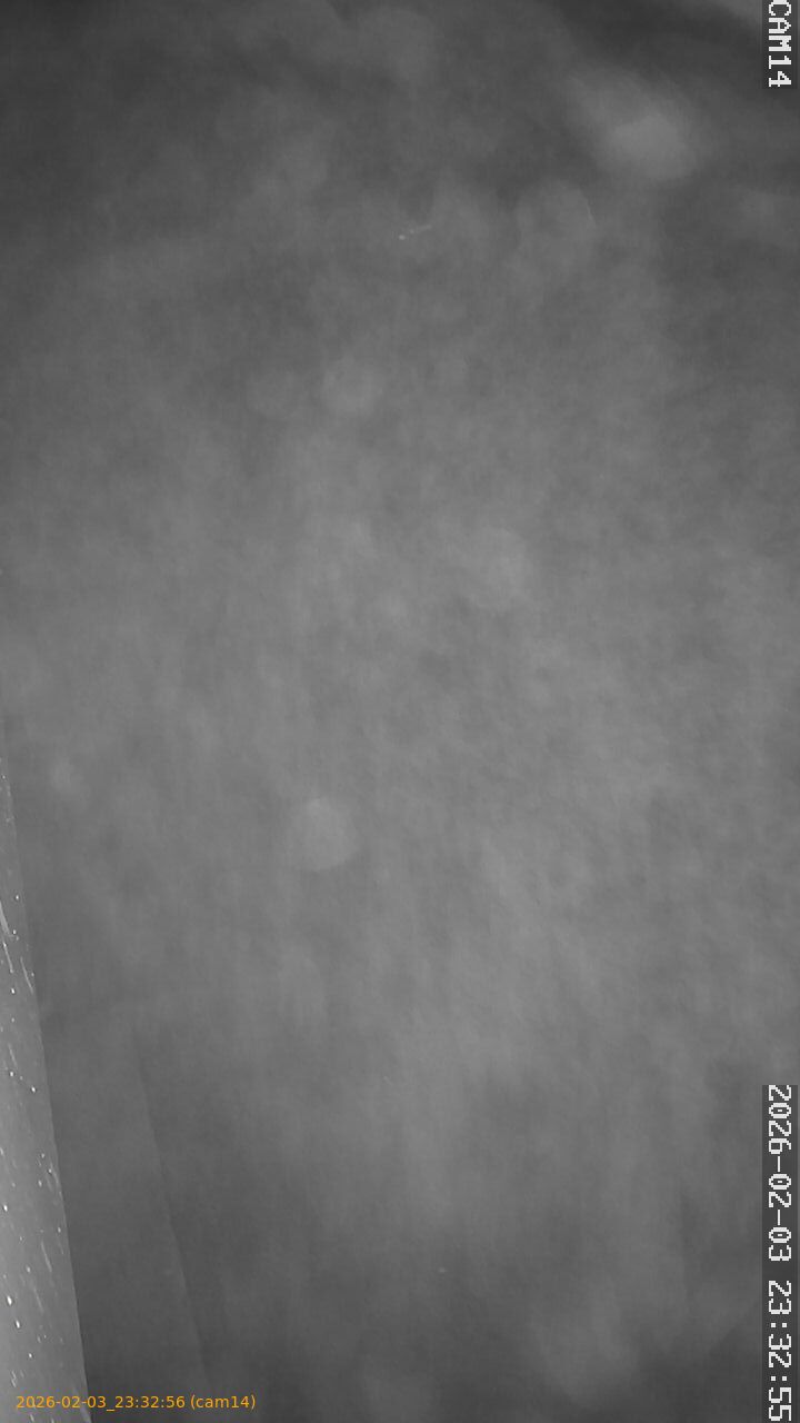 thumbnail_20260203233256