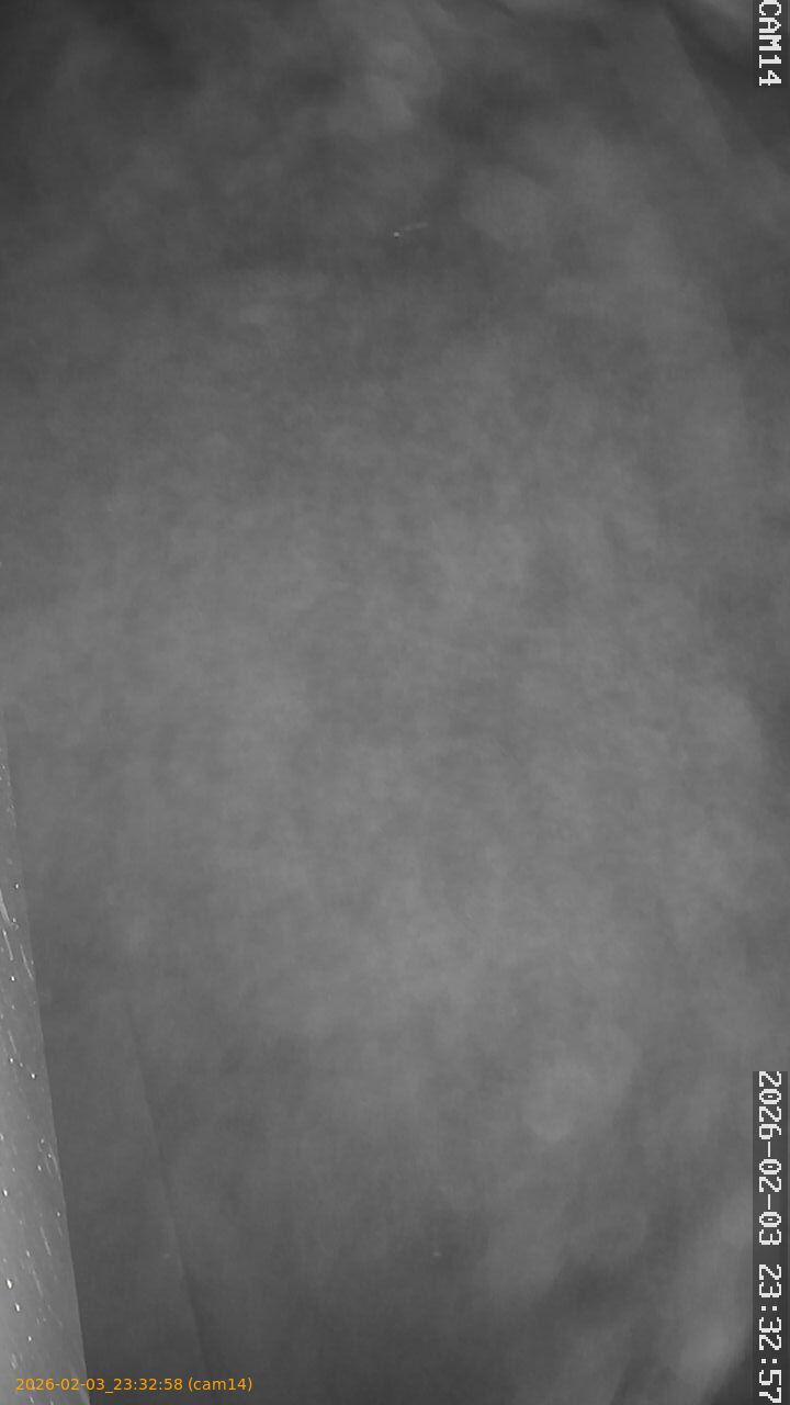 thumbnail_20260203233258