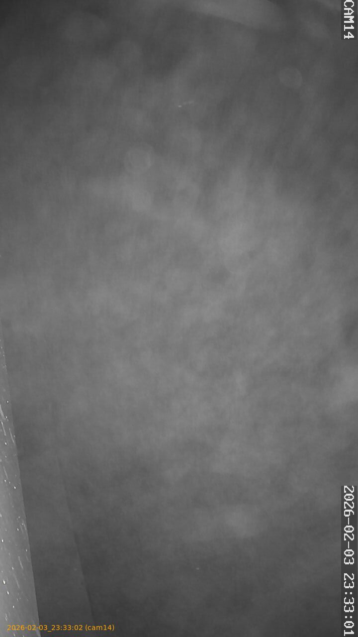 thumbnail_20260203233302