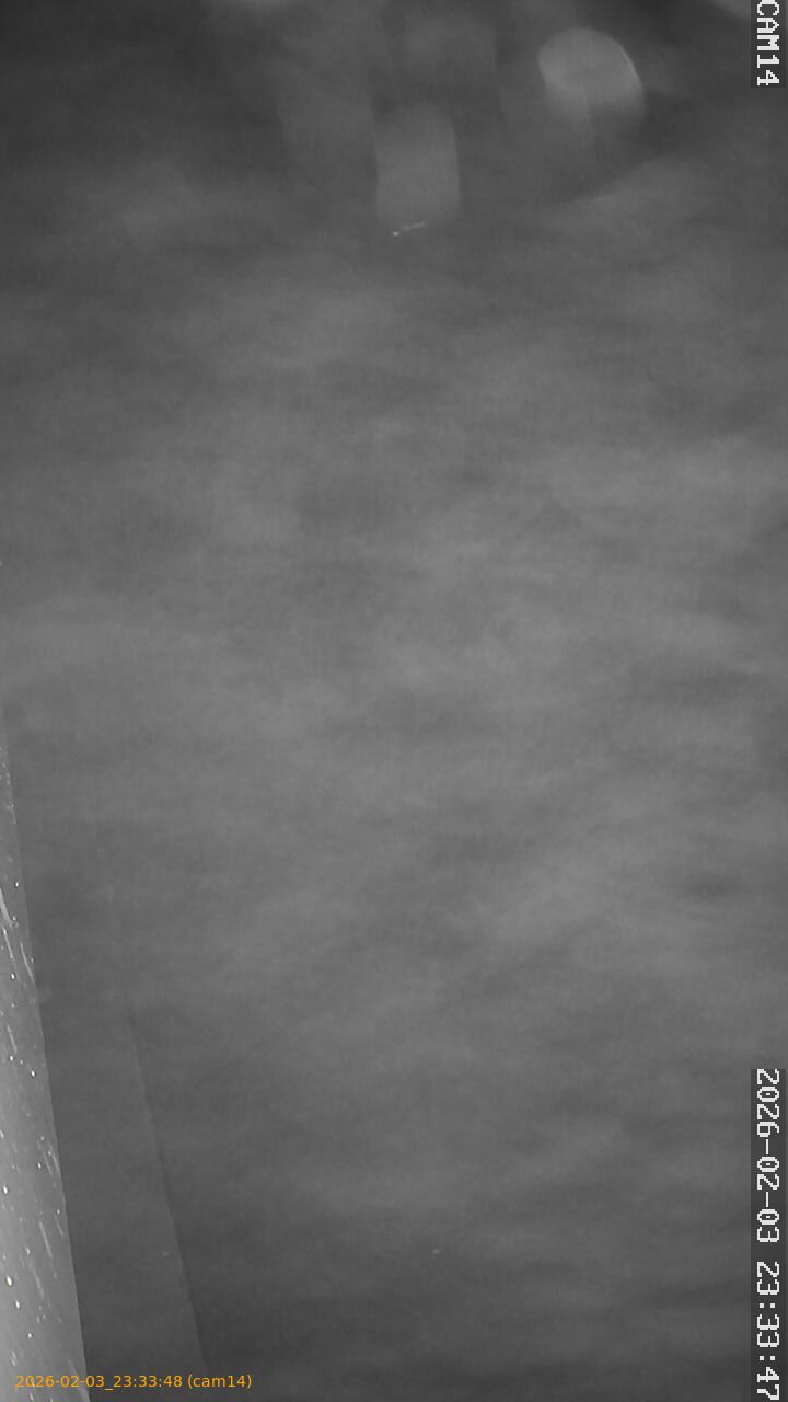 thumbnail_20260203233348