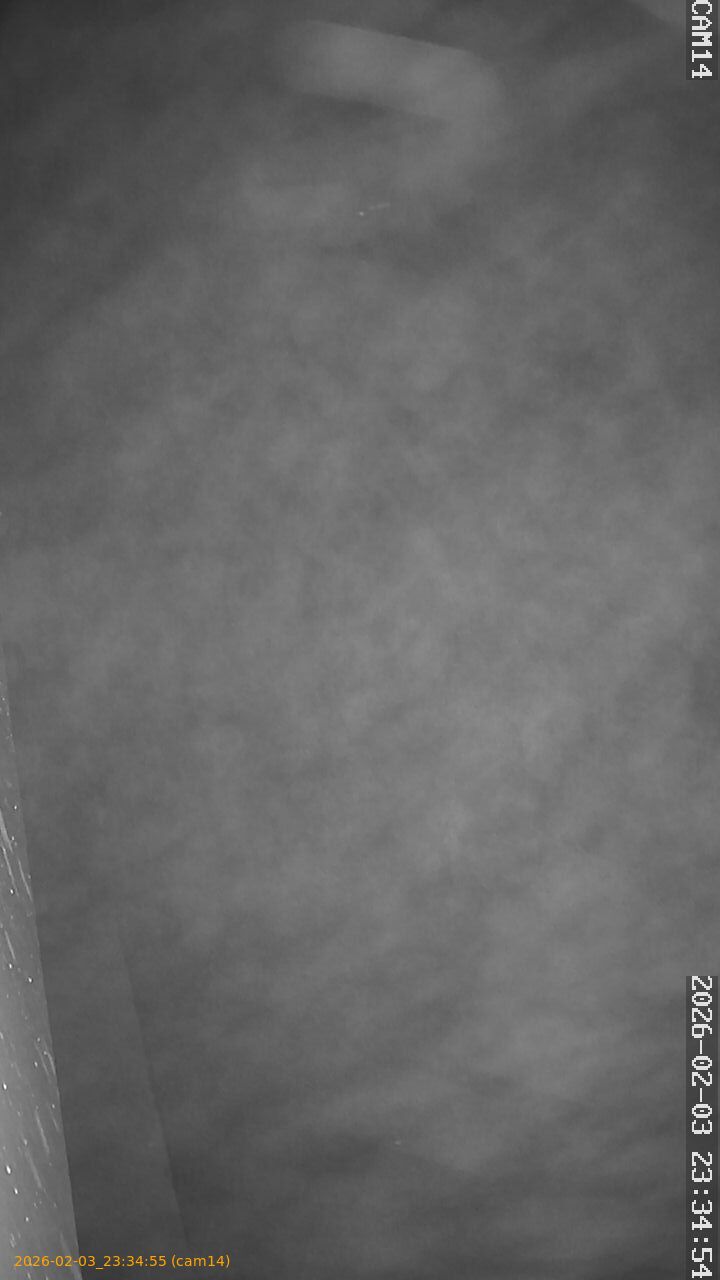 thumbnail_20260203233455