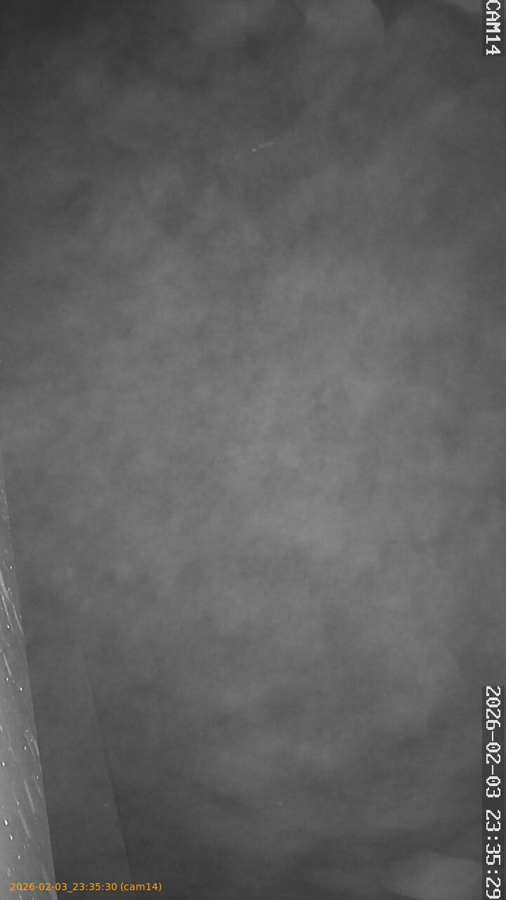 thumbnail_20260203233530