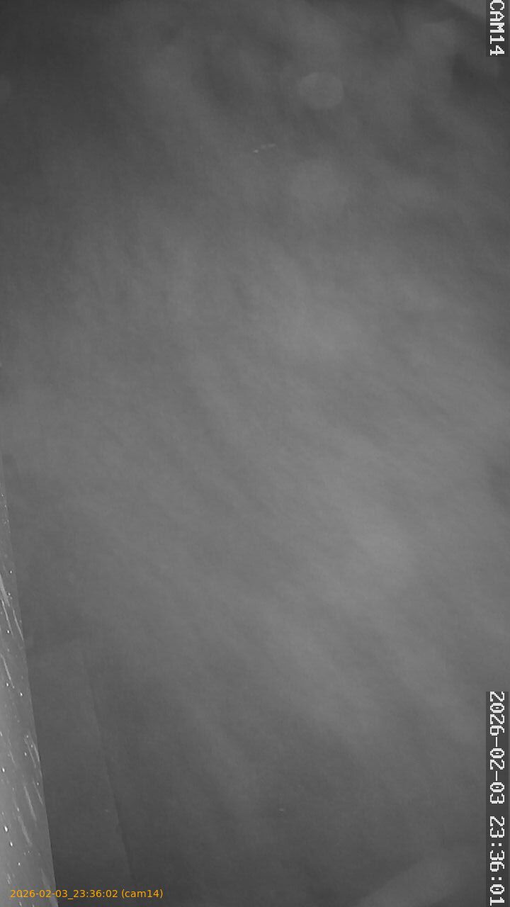 thumbnail_20260203233602