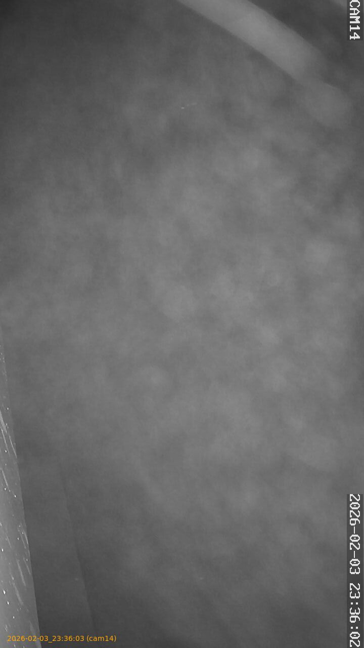 thumbnail_20260203233603