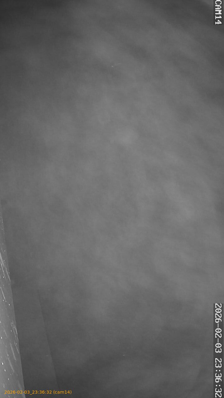 thumbnail_20260203233632