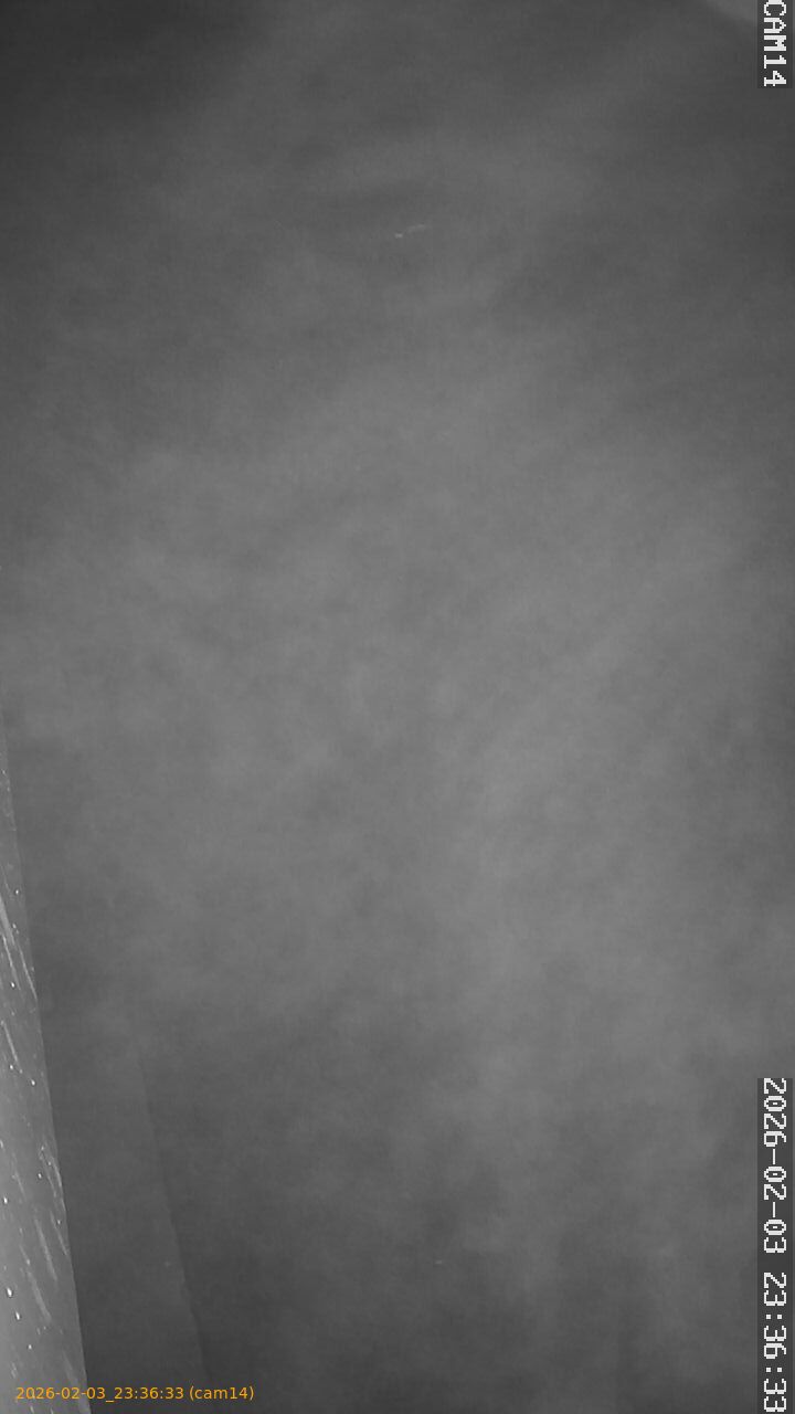 thumbnail_20260203233633