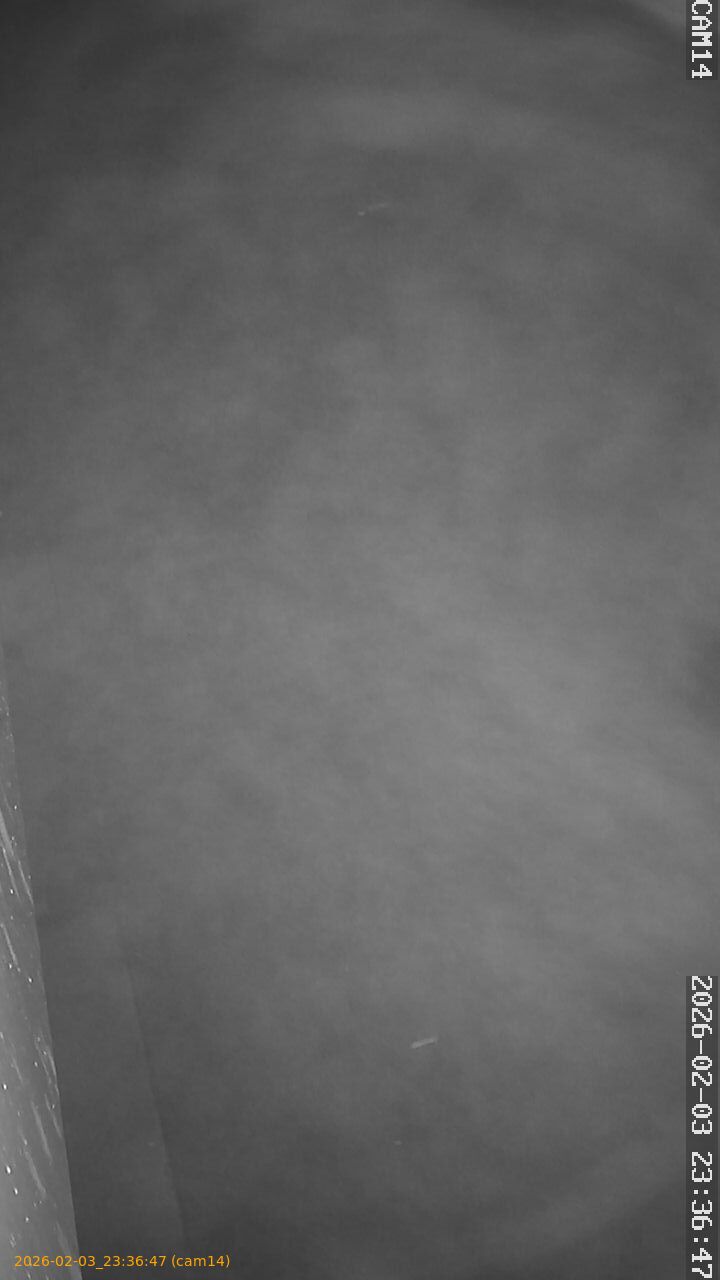 thumbnail_20260203233647