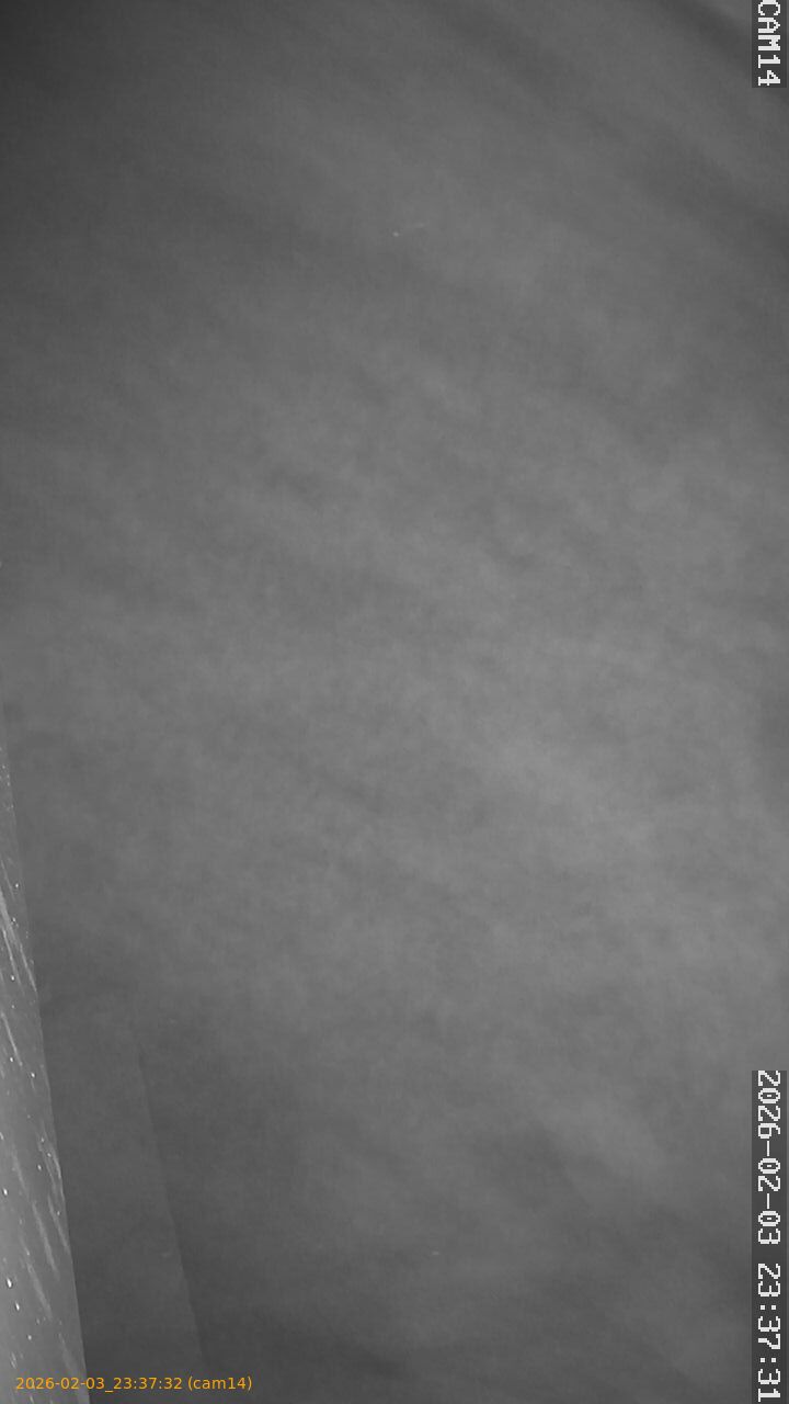 thumbnail_20260203233732