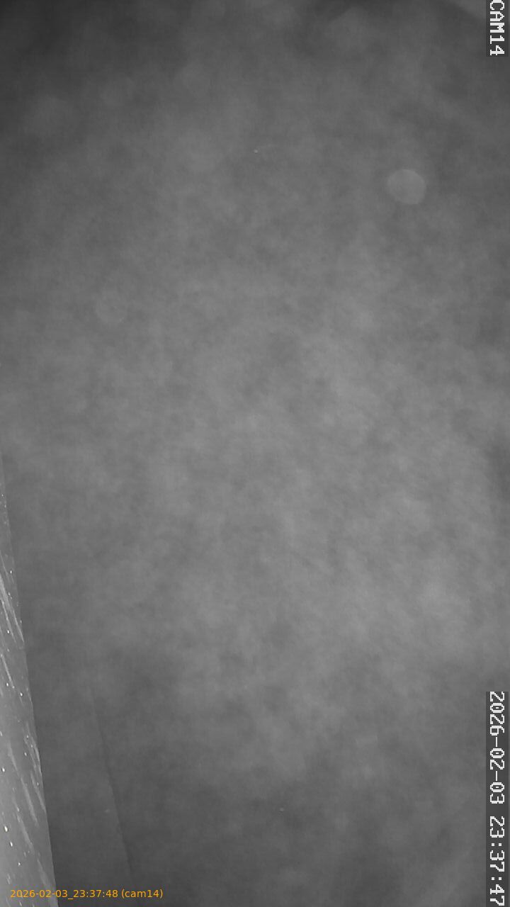 thumbnail_20260203233748