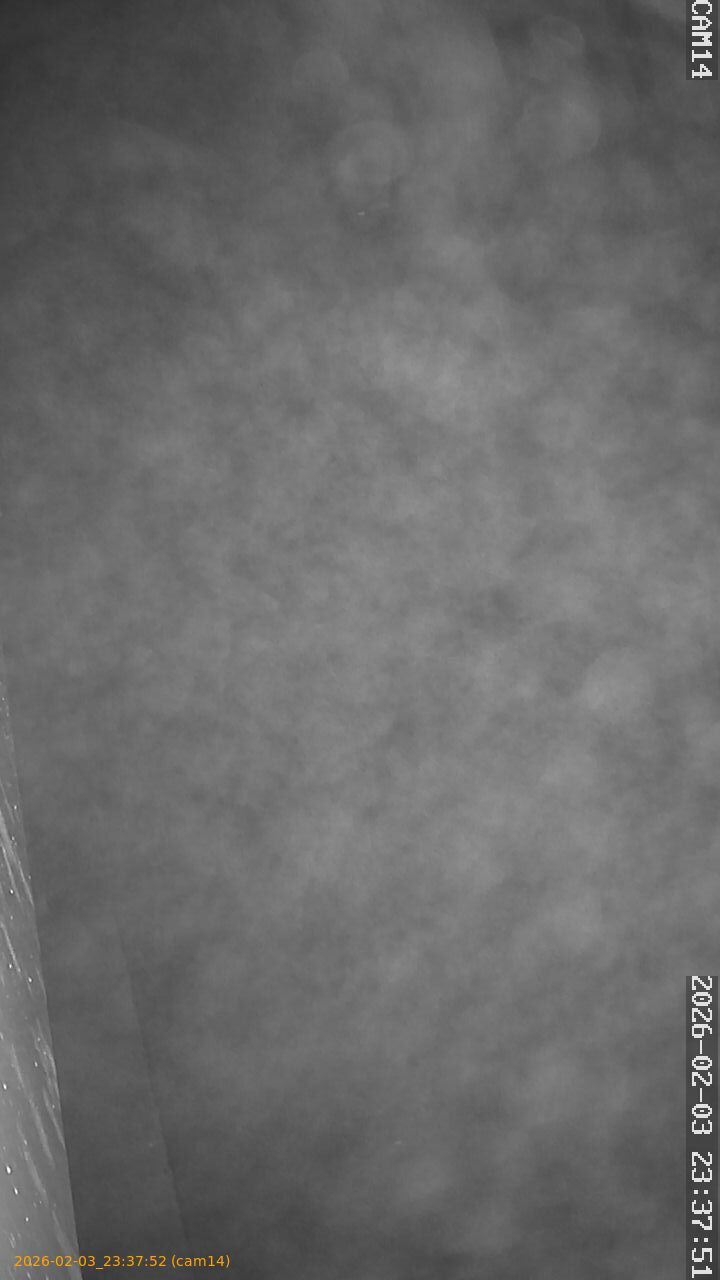 thumbnail_20260203233752