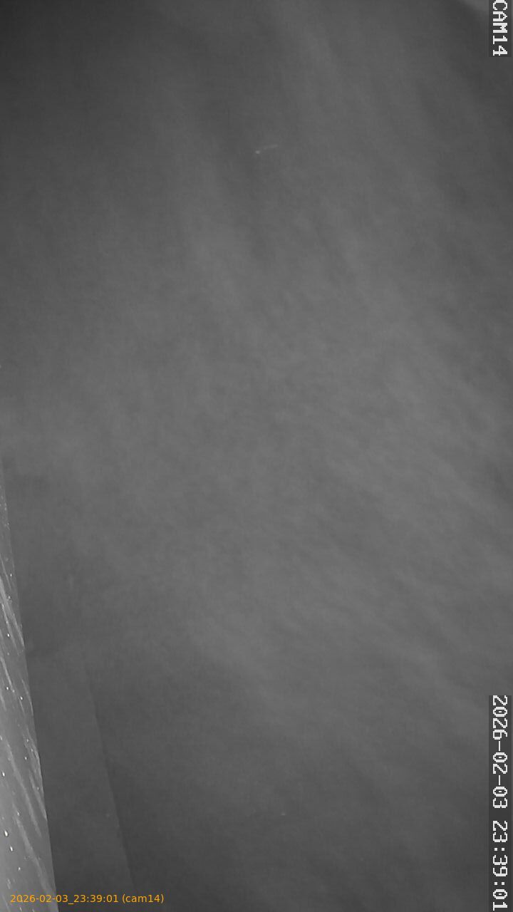 thumbnail_20260203233901