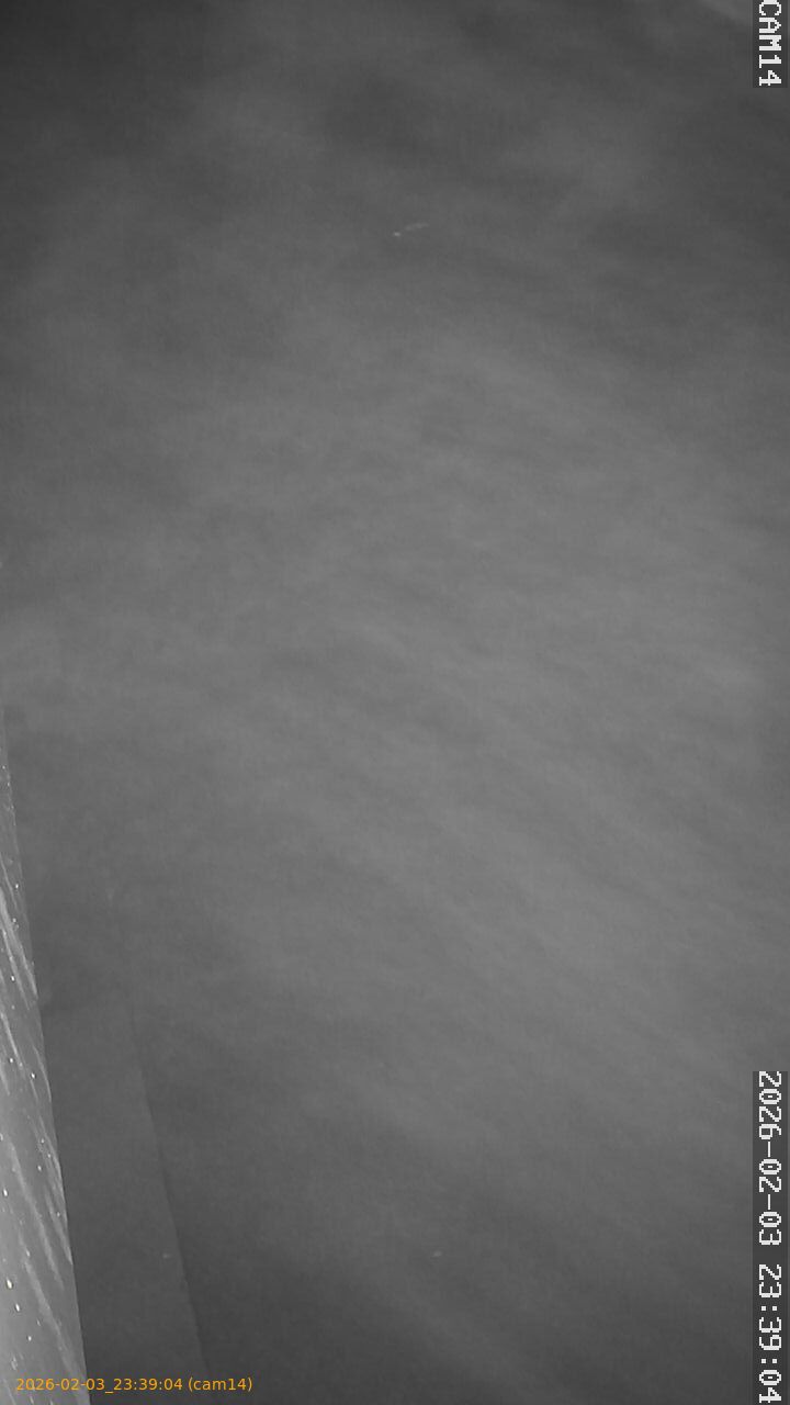 thumbnail_20260203233904