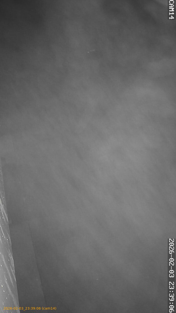 thumbnail_20260203233906