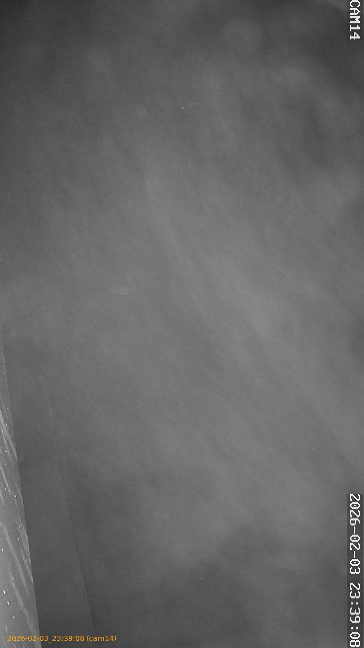 thumbnail_20260203233908