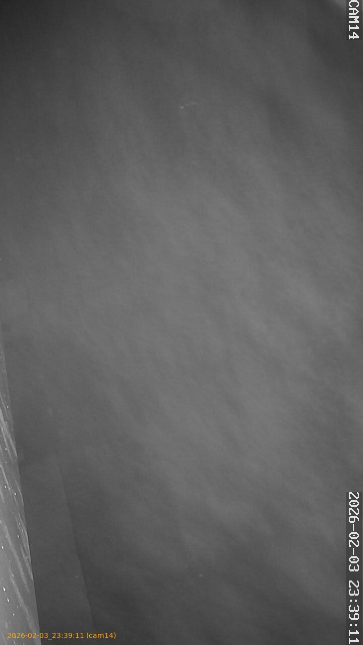 thumbnail_20260203233911