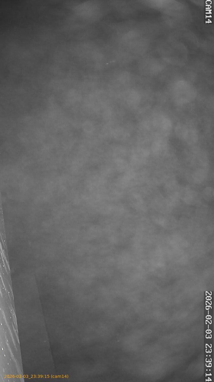 thumbnail_20260203233915