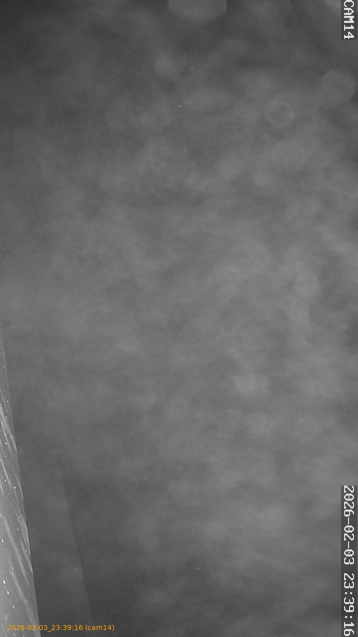 thumbnail_20260203233916