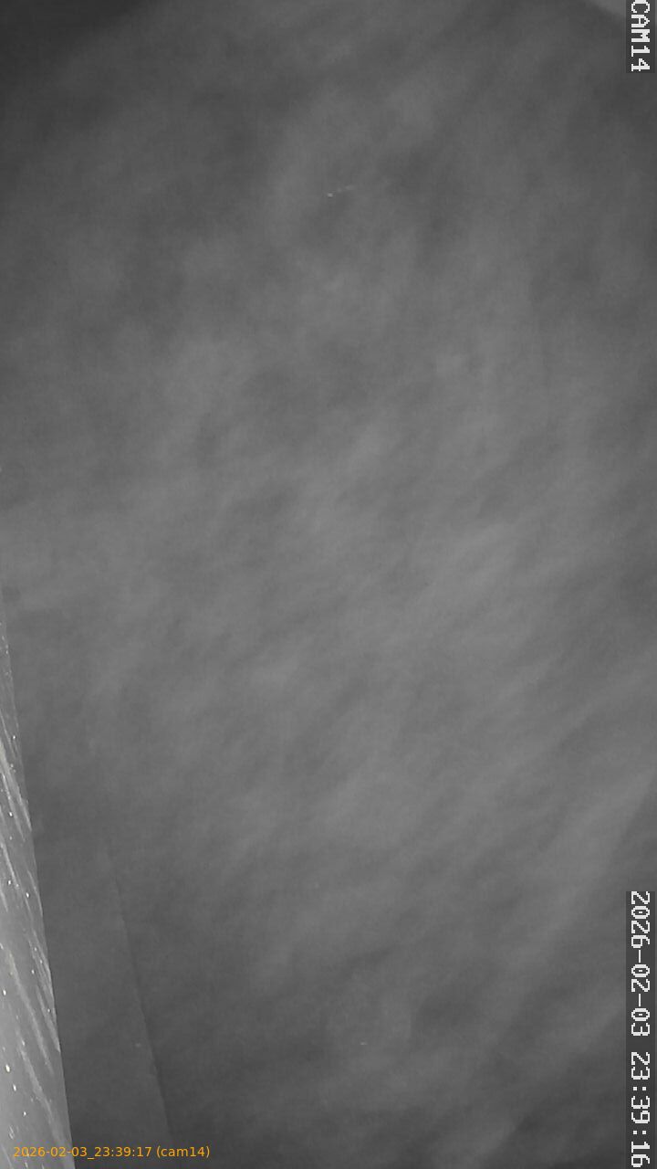 thumbnail_20260203233917