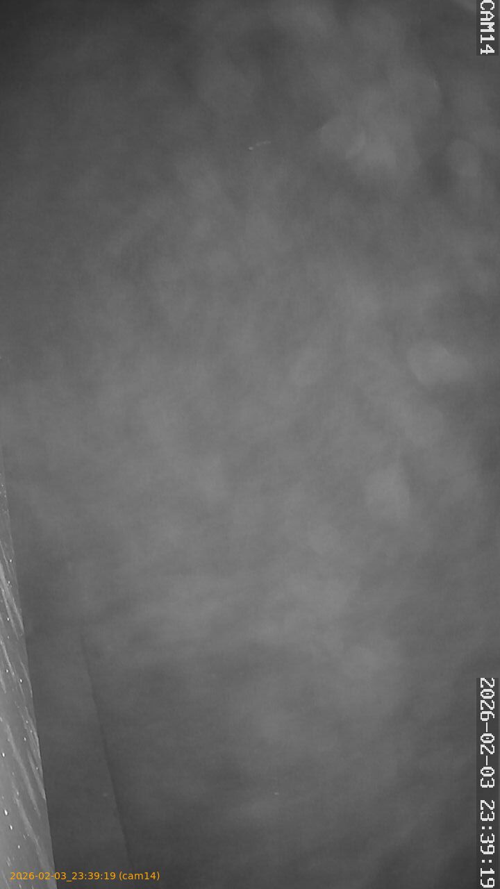 thumbnail_20260203233919