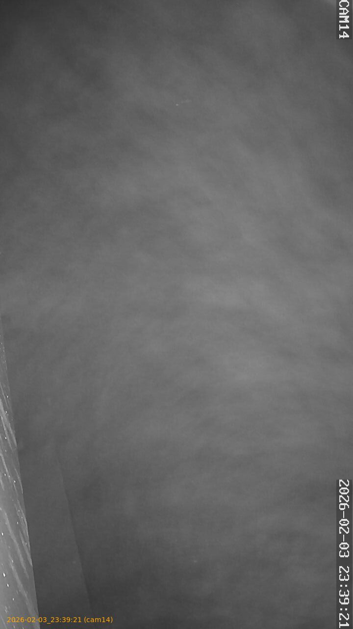 thumbnail_20260203233921