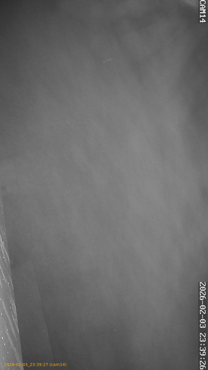 thumbnail_20260203233926