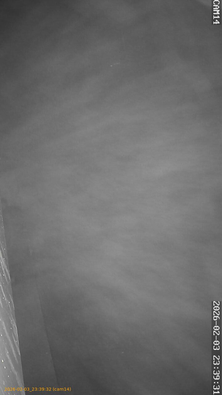 thumbnail_20260203233931