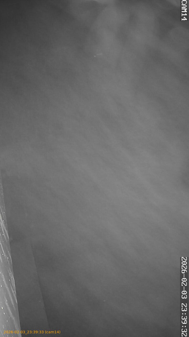 thumbnail_20260203233932