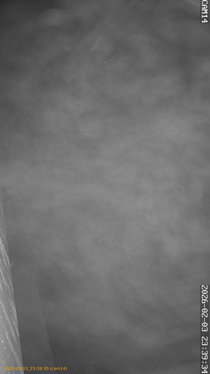 thumbnail_20260203233934