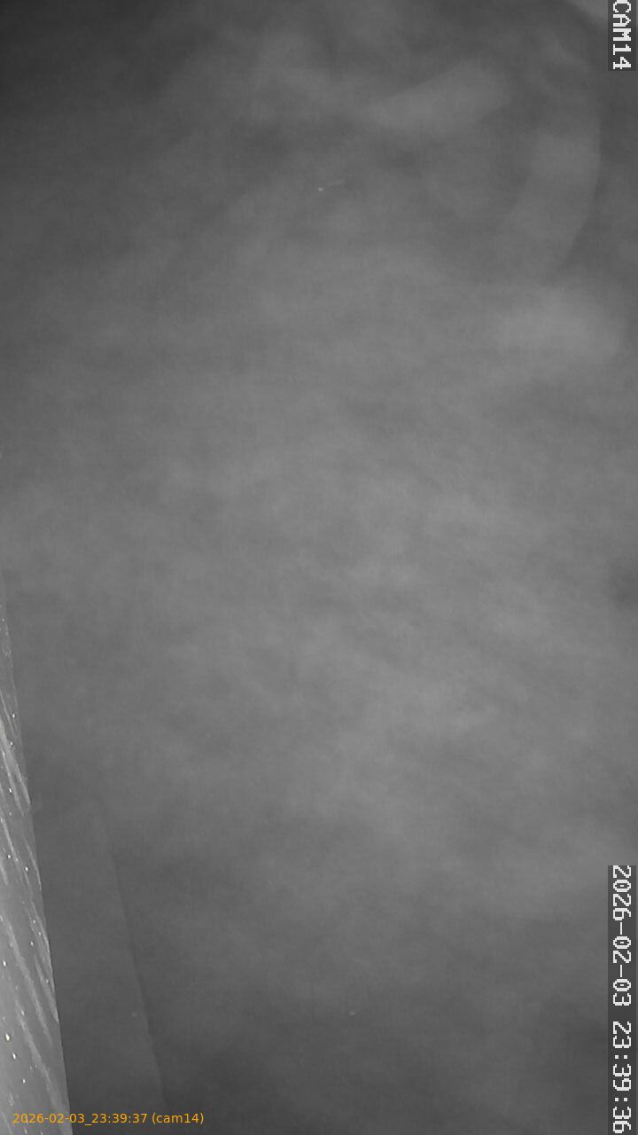 thumbnail_20260203233937