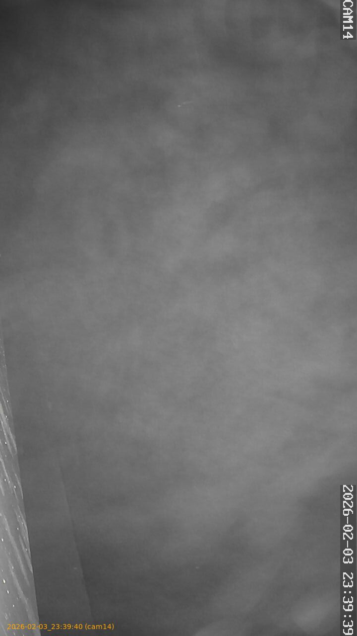 thumbnail_20260203233940