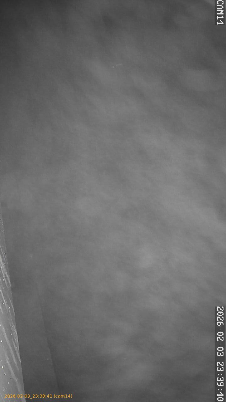 thumbnail_20260203233941