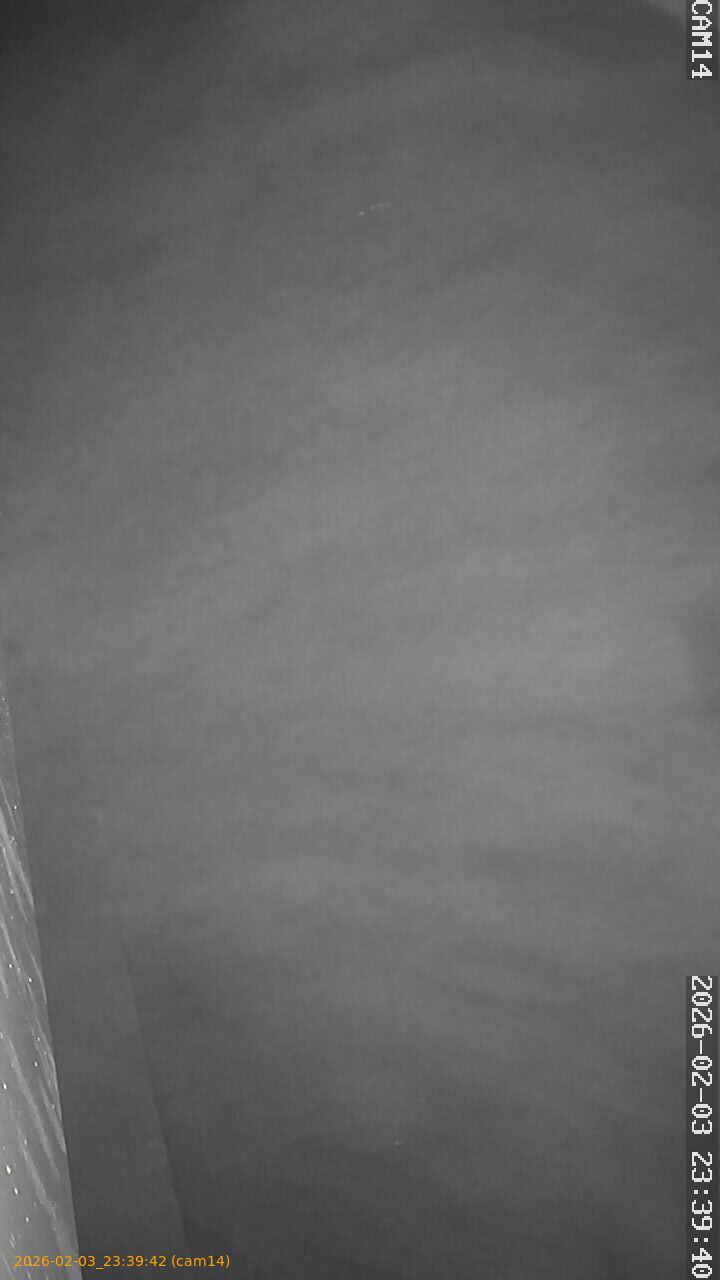 thumbnail_20260203233942