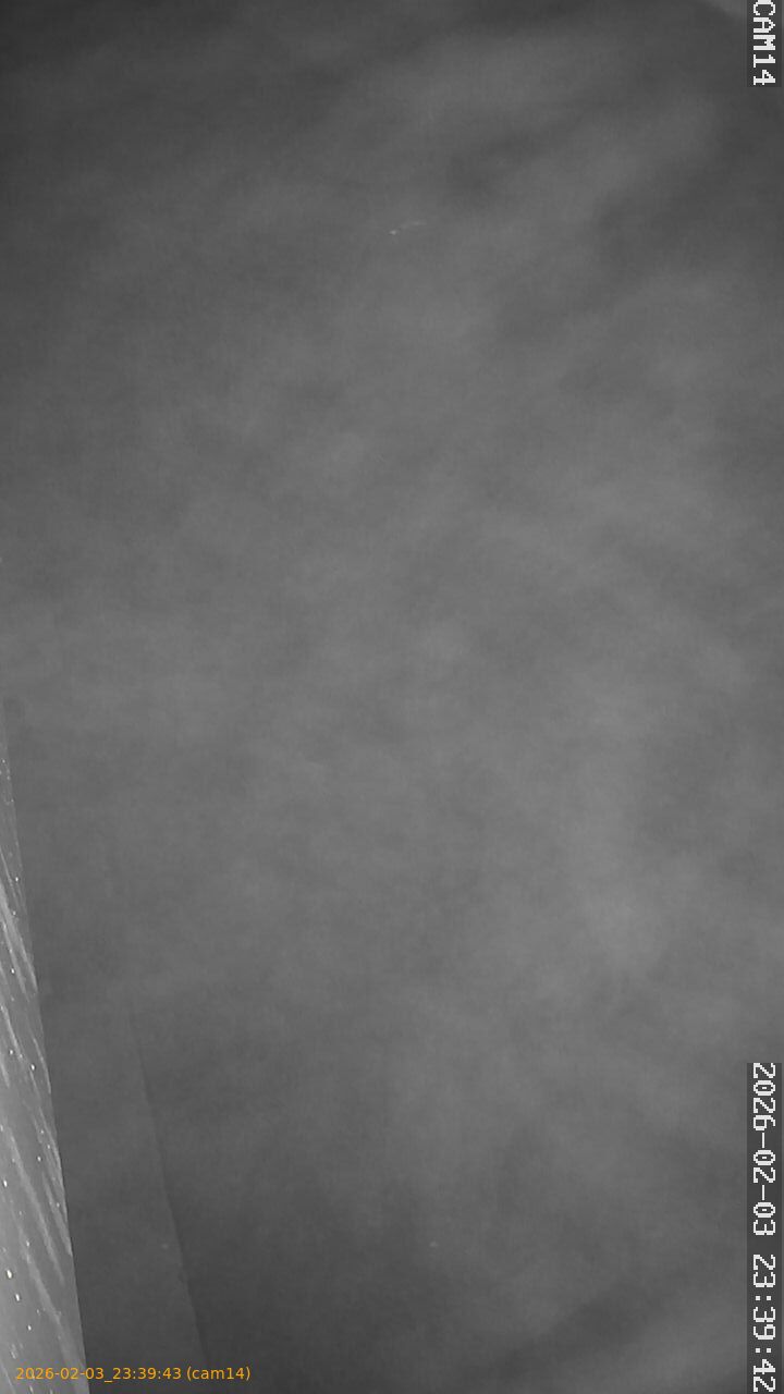 thumbnail_20260203233943