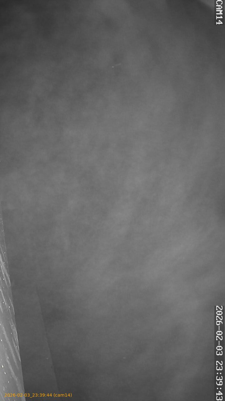 thumbnail_20260203233944