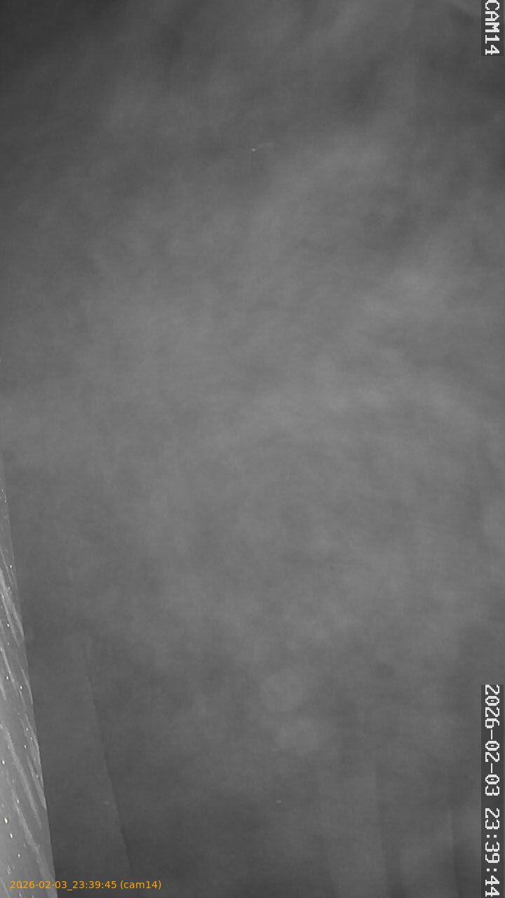 thumbnail_20260203233945