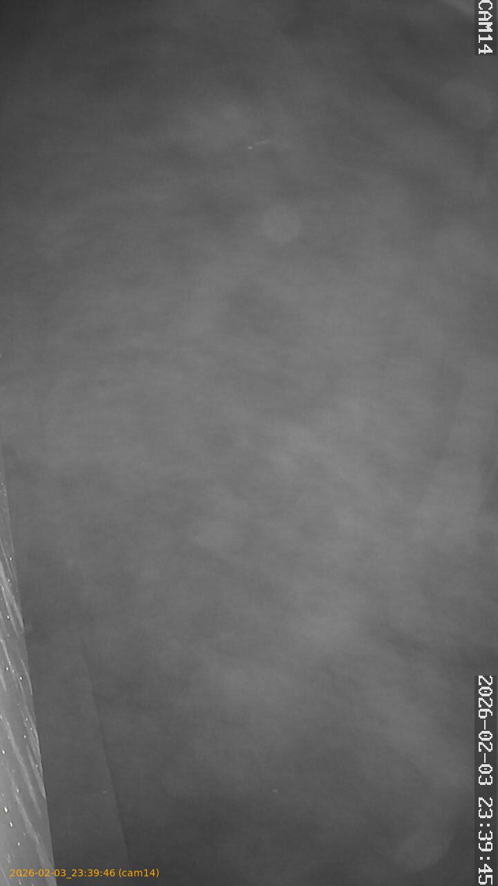 thumbnail_20260203233946